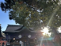 今を大事にするって、こういうことかも！